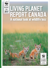 Living Planet Report Canada